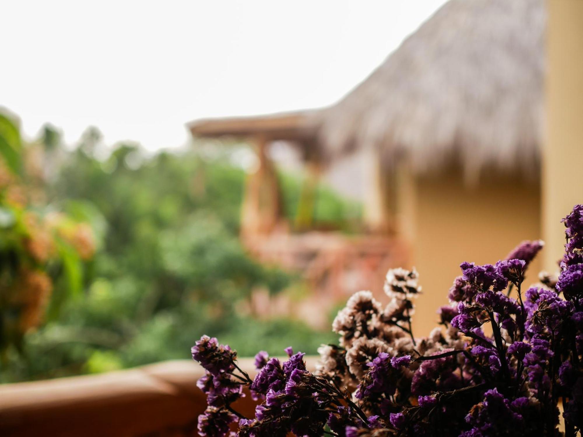 Carpe Diem Casitas & Villas Mazunte Quarto foto